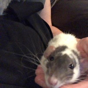 Meet your Posher, Jade